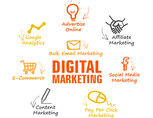 Wellington Digital Marketing consultant
